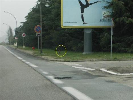 Photo du radar automatique de Casteljaloux (D933)